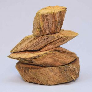 health benefits from bajakah for healthy